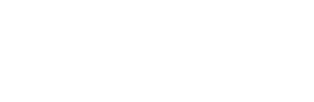 Journey Partner